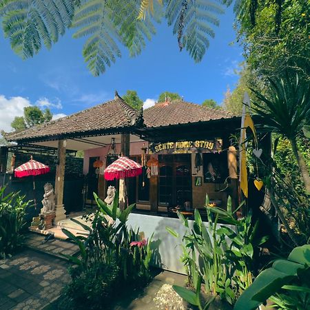 Homestay Sente Munduk Kültér fotó