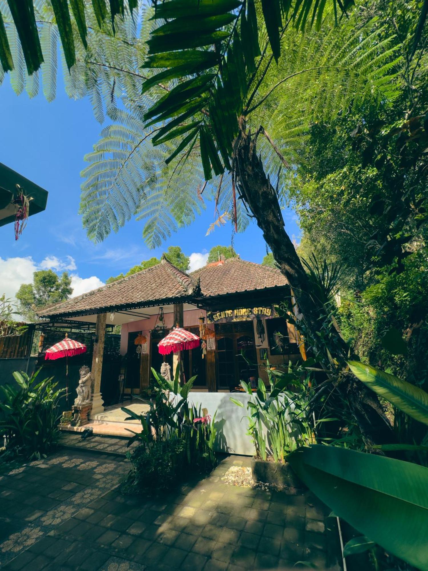 Homestay Sente Munduk Kültér fotó
